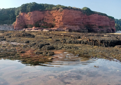 Rockpool Adventure – Preston Sands, Sunday 17 May 2026 (12 noon)