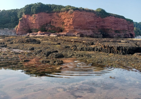 Rockpool Adventure – Preston Sands, Sunday 17 May 2026 (12 noon)