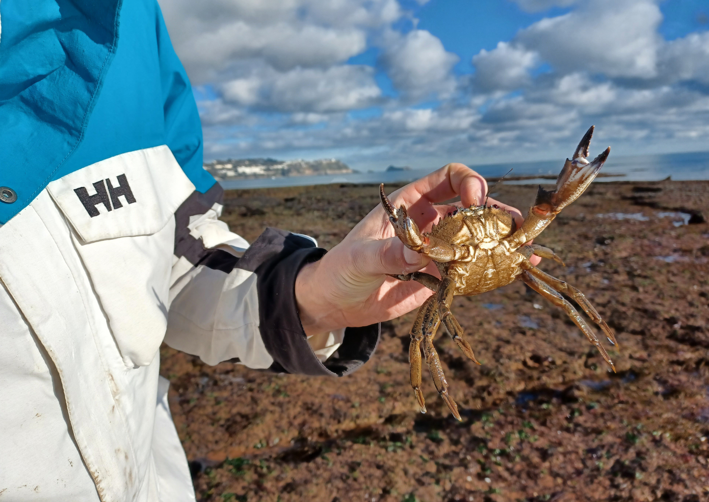 Rockpool Adventure – Preston Sands, Sunday 17 May 2026 (12 noon)