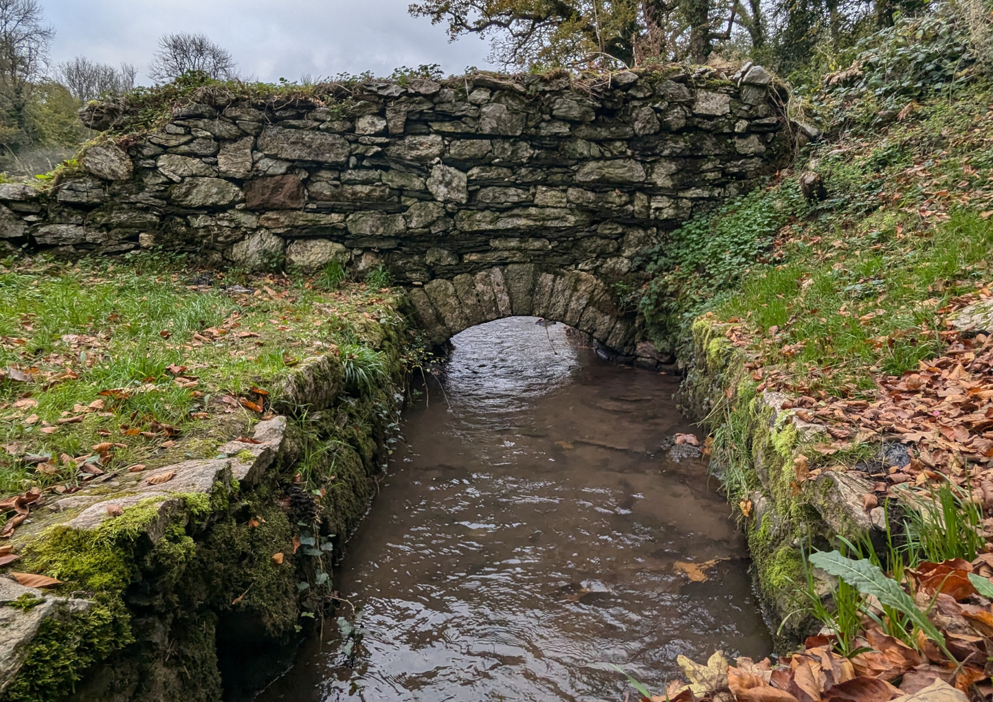 Phantoms of the Coast and Countryside