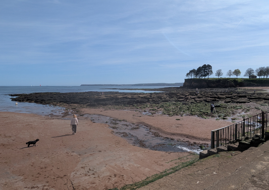 NEW Mini Rockpool Explorers – Corbyn Head, Friday 15th May 2026 (10.45am)