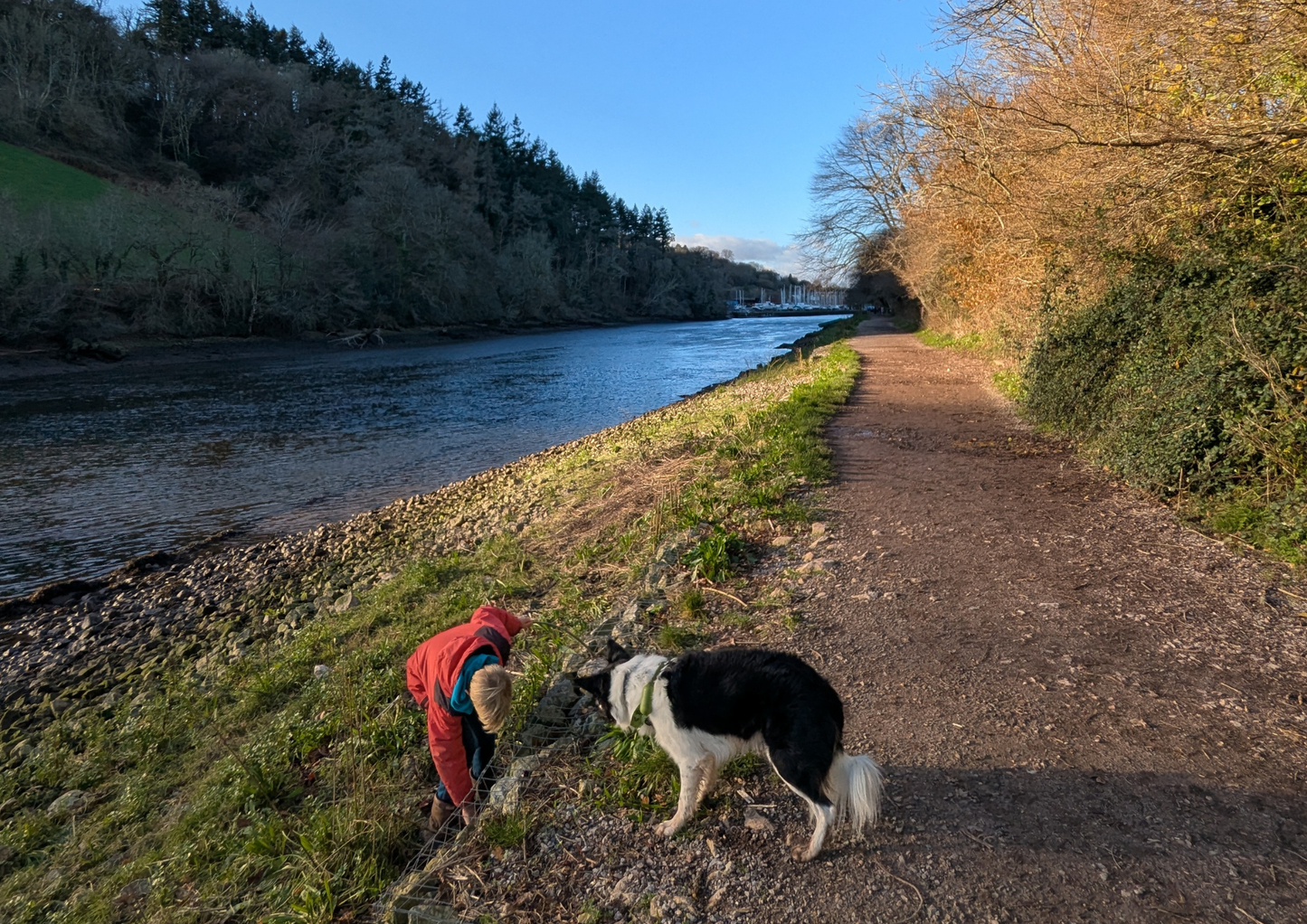 Person in red jacket with a dog on a path by a river
