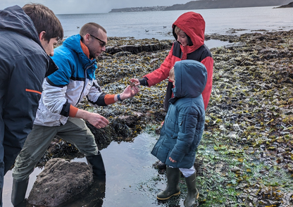People exploring rockpools