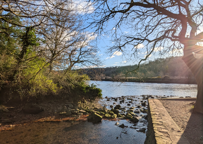 Scenic view of a river with trees and a clear sky in Devon