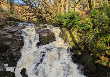 Waterfall in a forest with rocks and greenery